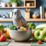 Alimentation saine pour oiseaux